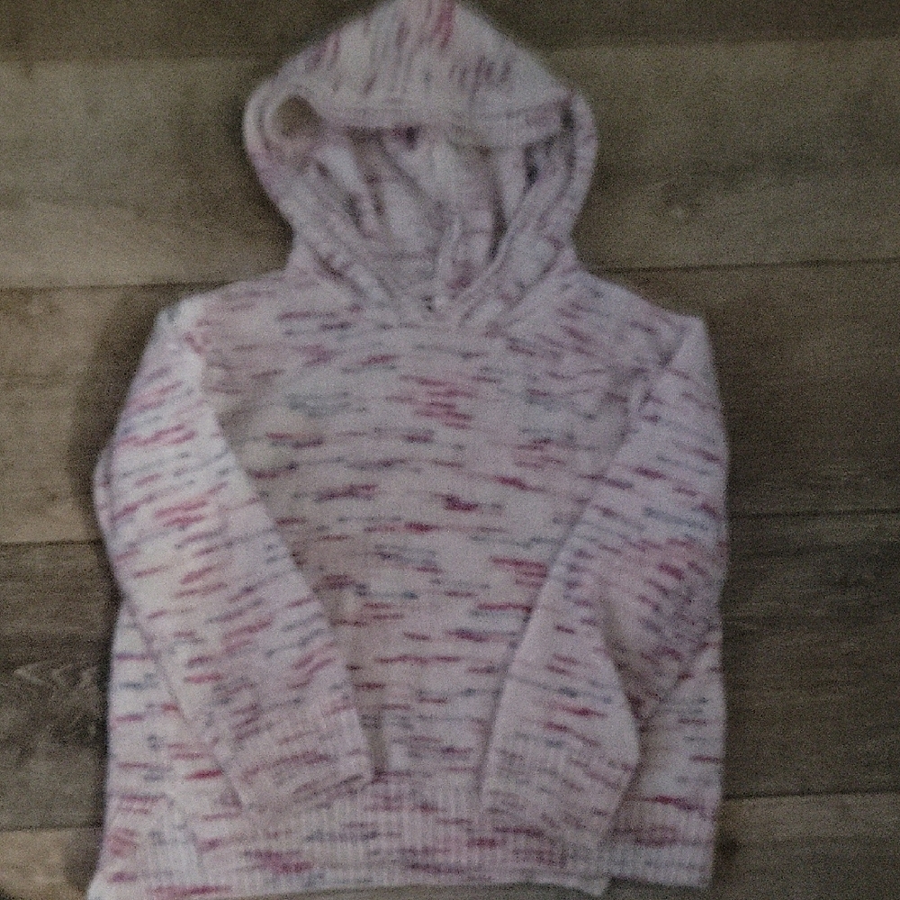 DKNY Multicolor Hooded Sweatshirt